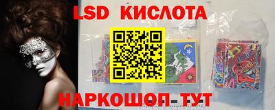 spice Новозыбков