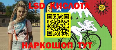 spice Новозыбков