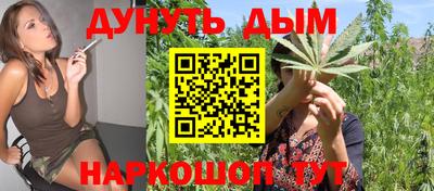 spice Новозыбков