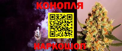 spice Новозыбков