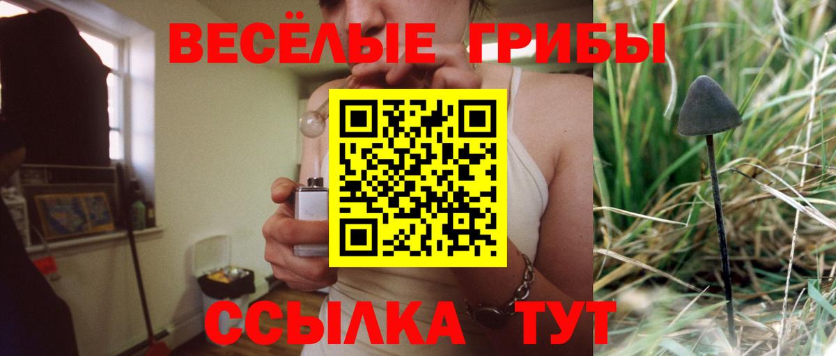 Псилоцибиновые грибы мухоморы Ульяновск